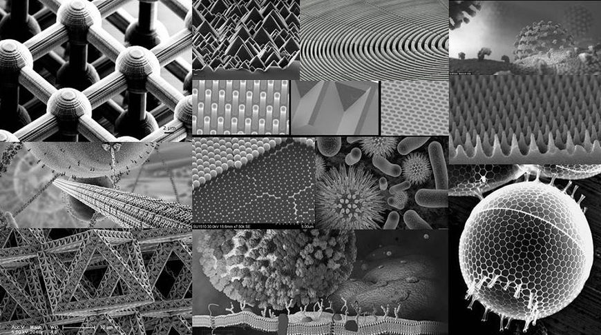 IMAGE: Pause 2017 "Nano World" Reference 01