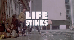 Life Stinks