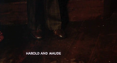 Harold and Maude