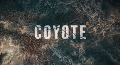 Coyote