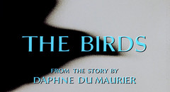 The Birds