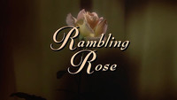 Rambling Rose