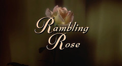 Rambling Rose